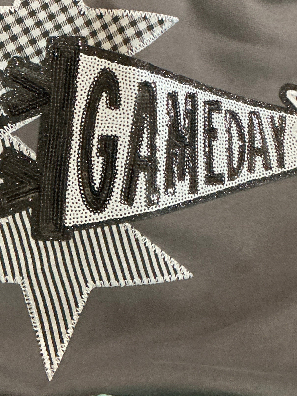 Varsity GameDay Pennant