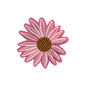 Daisy Flower Patch