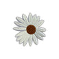 Daisy Flower Patch