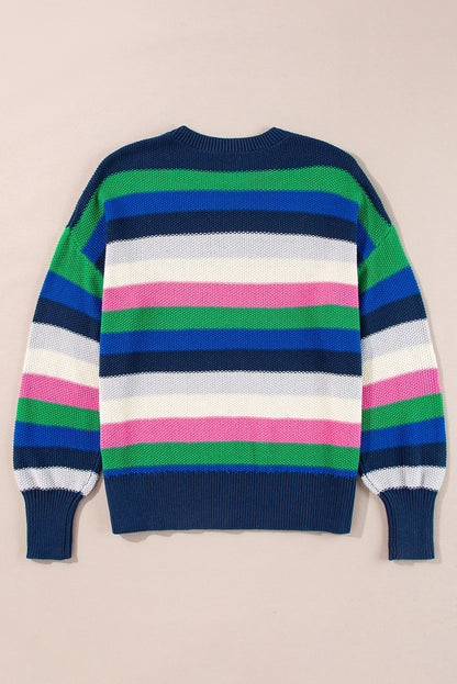 Multi Color Navy Wide Stripe Sweater